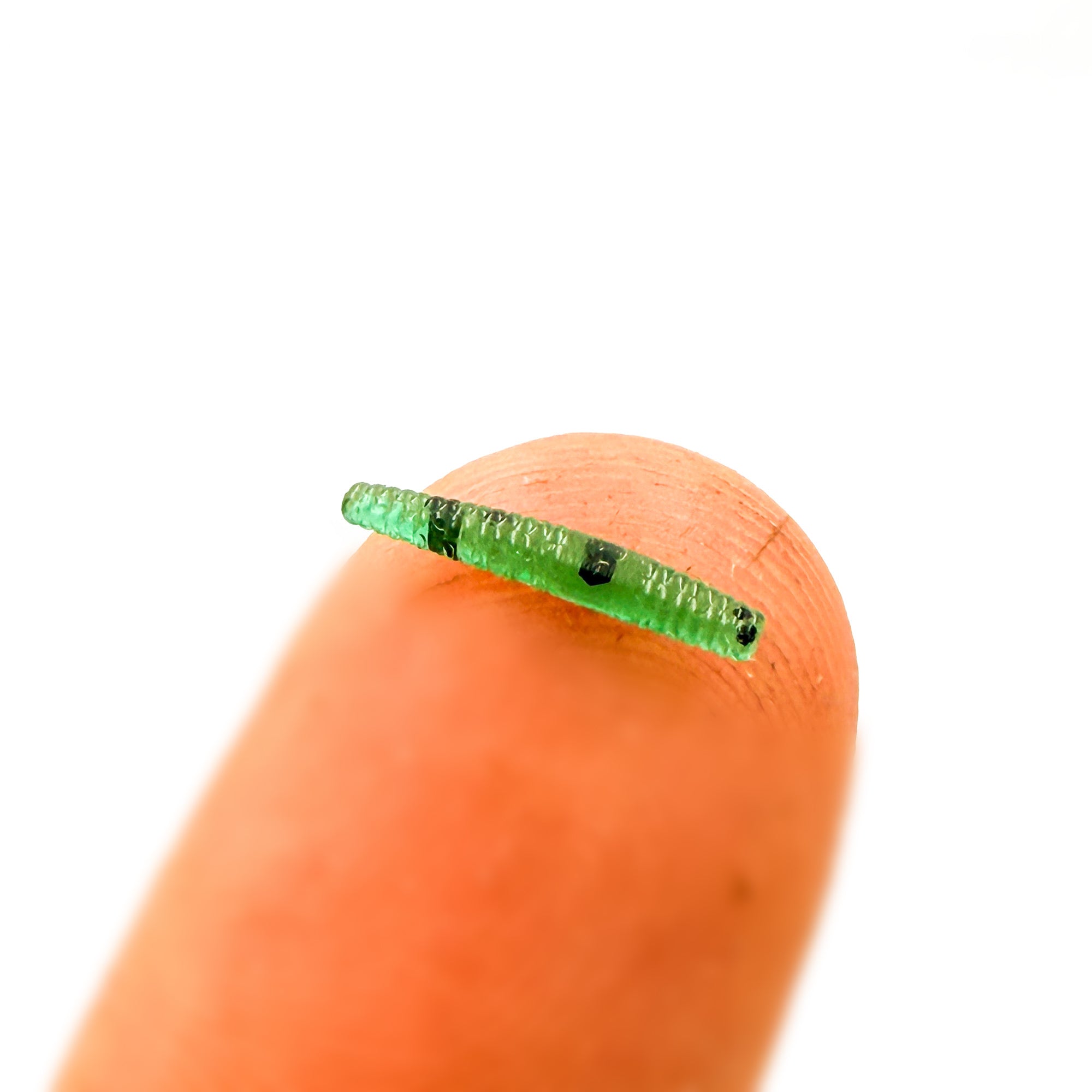 2.2 Inch Caddis Fly Larva Mold – Epic Bait Molds